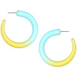 Two-Tone Tubular C-Hoop Earrings