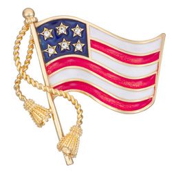 Napier Patriotic Americana Flag Enamel Rhinestone Boxed Pin