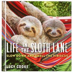 Life In The Sloth Lane
