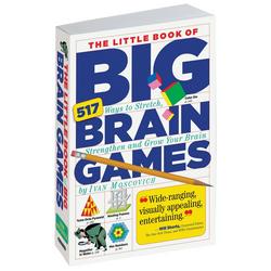 Little Book Of Big Brain Games Book