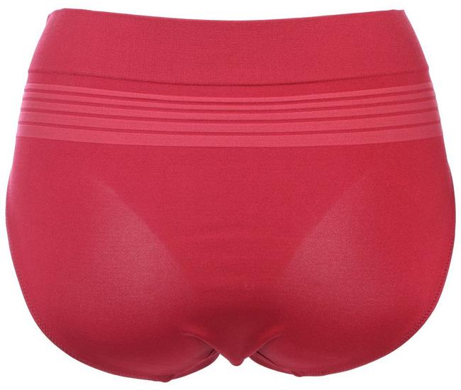 Warners brief panties microfiber Dig-Free comfort 2 pair Size 7/L style 5738
