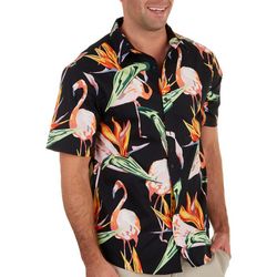 Ocean Current Mens Masfield Flamingo Short Sleeve Shirt
