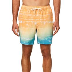 Mens Mixed Up Ombre Volley Boardshorts