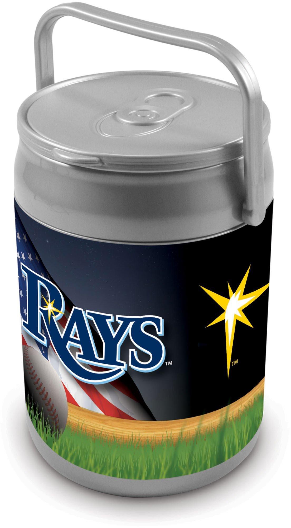 Can Cooler by Picnic Time
