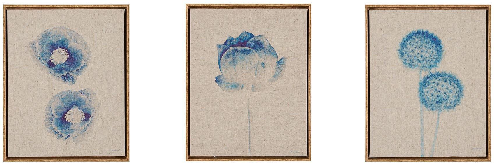 Blue Print Botanicals 3-pc. Framed Canvas Art