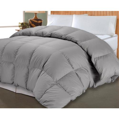 Blue Ridge Home Pima Cotton Down Alternative Comforter Bealls