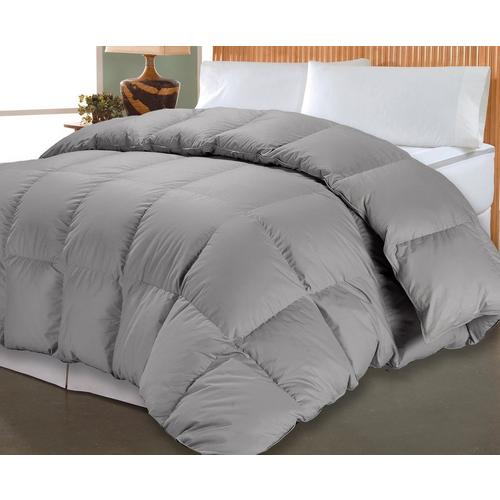 Blue Ridge Home Pima Cotton Down Alternative Comforter Bealls