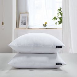 Beautyrest Pillow