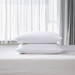 Martha Stewart Jumbo Pillow