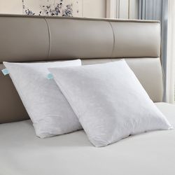 Martha Stewart Deco Pillows