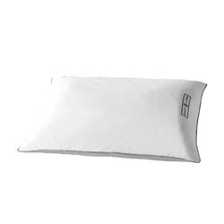 Scott Living Std/Qn Pillows