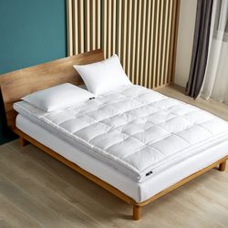 Serta 2'' Feather & Down Fiber Top Featherbed