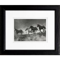 TIMELESS FRAMES 8X10 RUN WITH THE WIND Wall Art