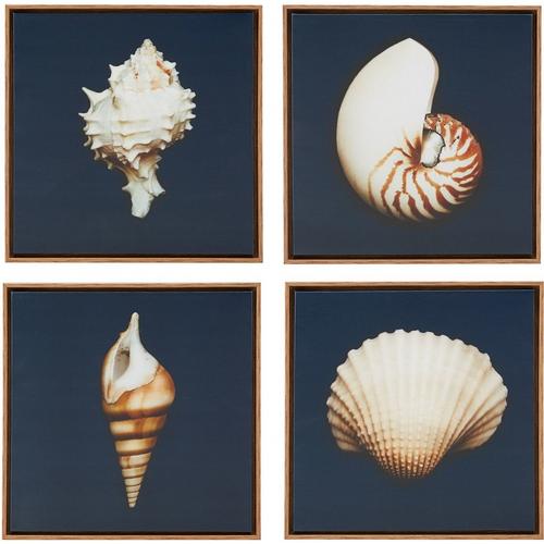 Madison Park Ocean Seashells 4-pc. Wall Art Set