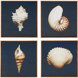 Ocean Seashells 4-pc. Wall Art Set