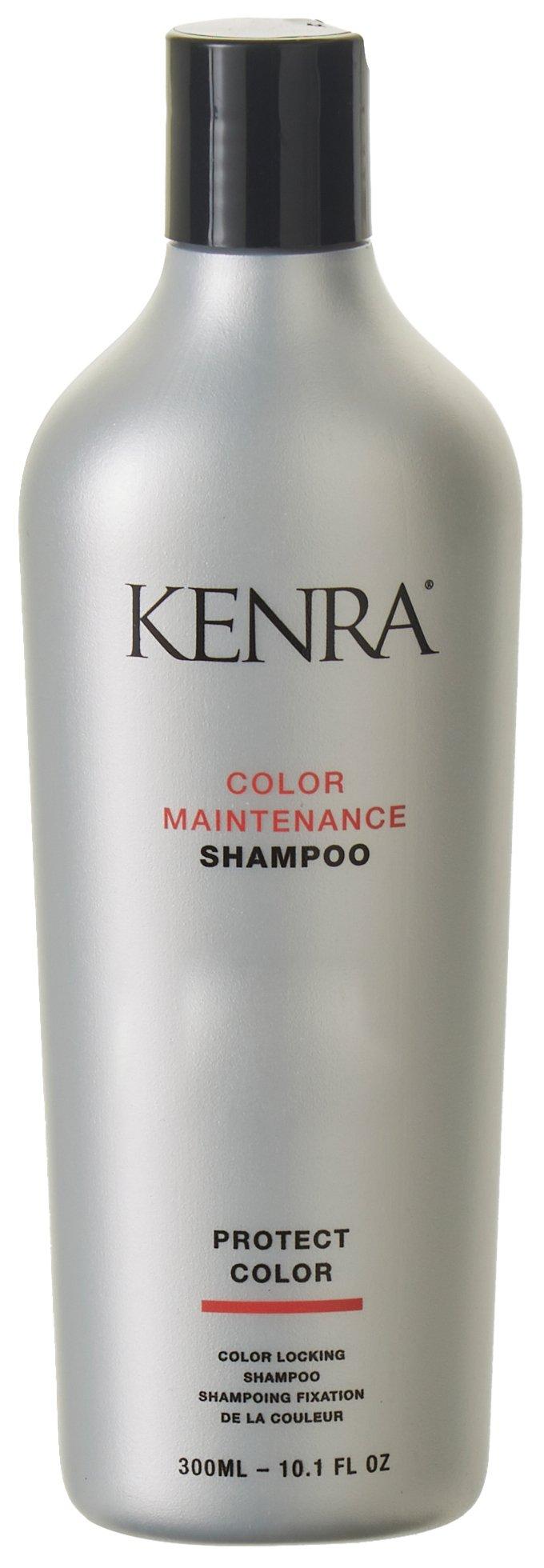 Color Maintenance Shampoo 10.1 Fl. Oz.