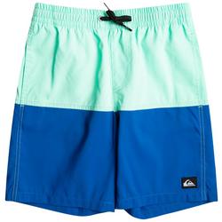Big Boys Colorblock Butt Logo Volley Swim Shorts
