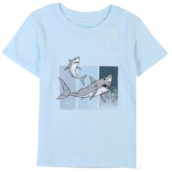 DOT & ZAZZ Little Boys Shark Ombre Short Sleeve T-Shirt