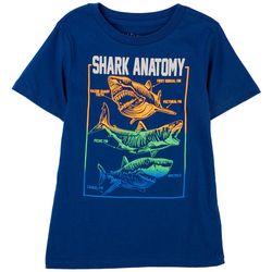 Dot & Zazz Little Boys Shark Anatomy T-Shirt