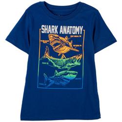 Little Boys Shark Anatomy T-Shirt