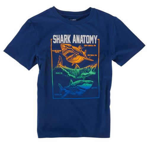 Dot & Zazz Big Boys Shark Anatomy T-Shirt