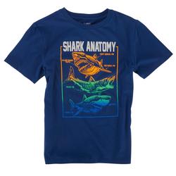 Big Boys Shark Anatomy T-Shirt