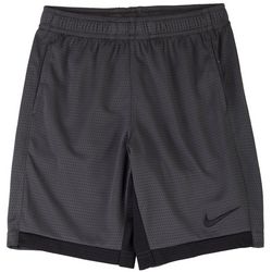 Nike Little Boys Trophy Shorts