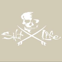 Smiling Skull Logo Decal