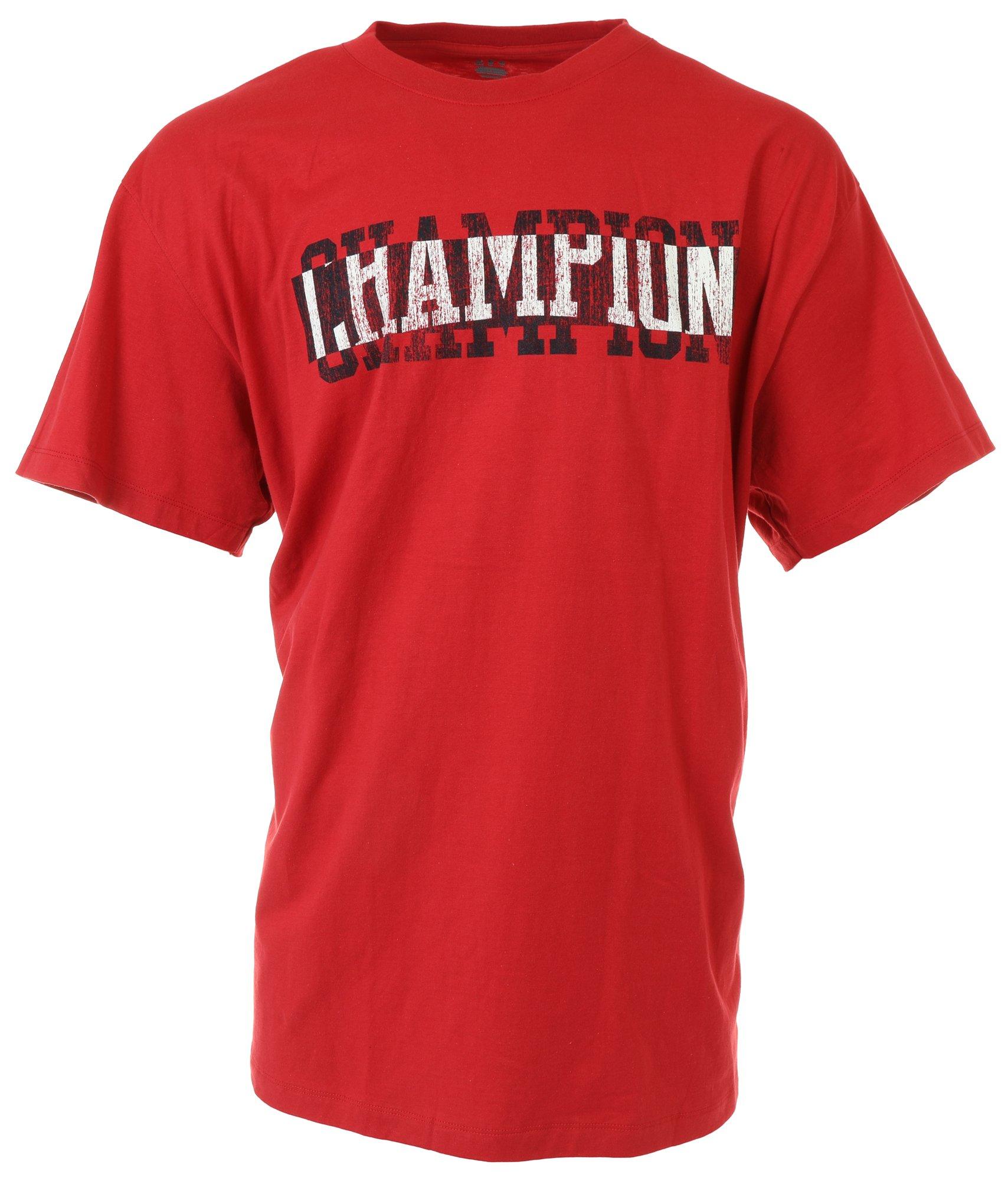 Champion Mens Big & Tall Classic Jersey Graphic T-Shirt