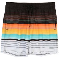 Mens 2-In-1 Stripe Stretch Swim Shorts
