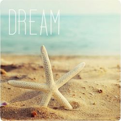 P. Graham Dunn Dream Starfish Coaster