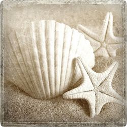 P. Graham Dunn Shell Starfish Coaster