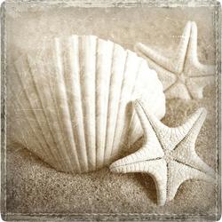 Shell Starfish Coaster