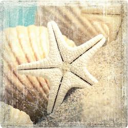 Make A Wish Star And Shell Coaster