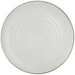 Northpoint Trading Speckled Spa Dinner Plate