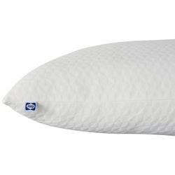 Sealy Spa Comfort King Bed Pillow