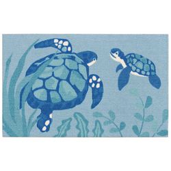 Enhance Mother And Baby Turtle Accent Rug