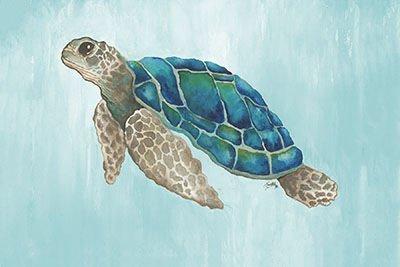 14+ Best Turtle canvas wall art images information