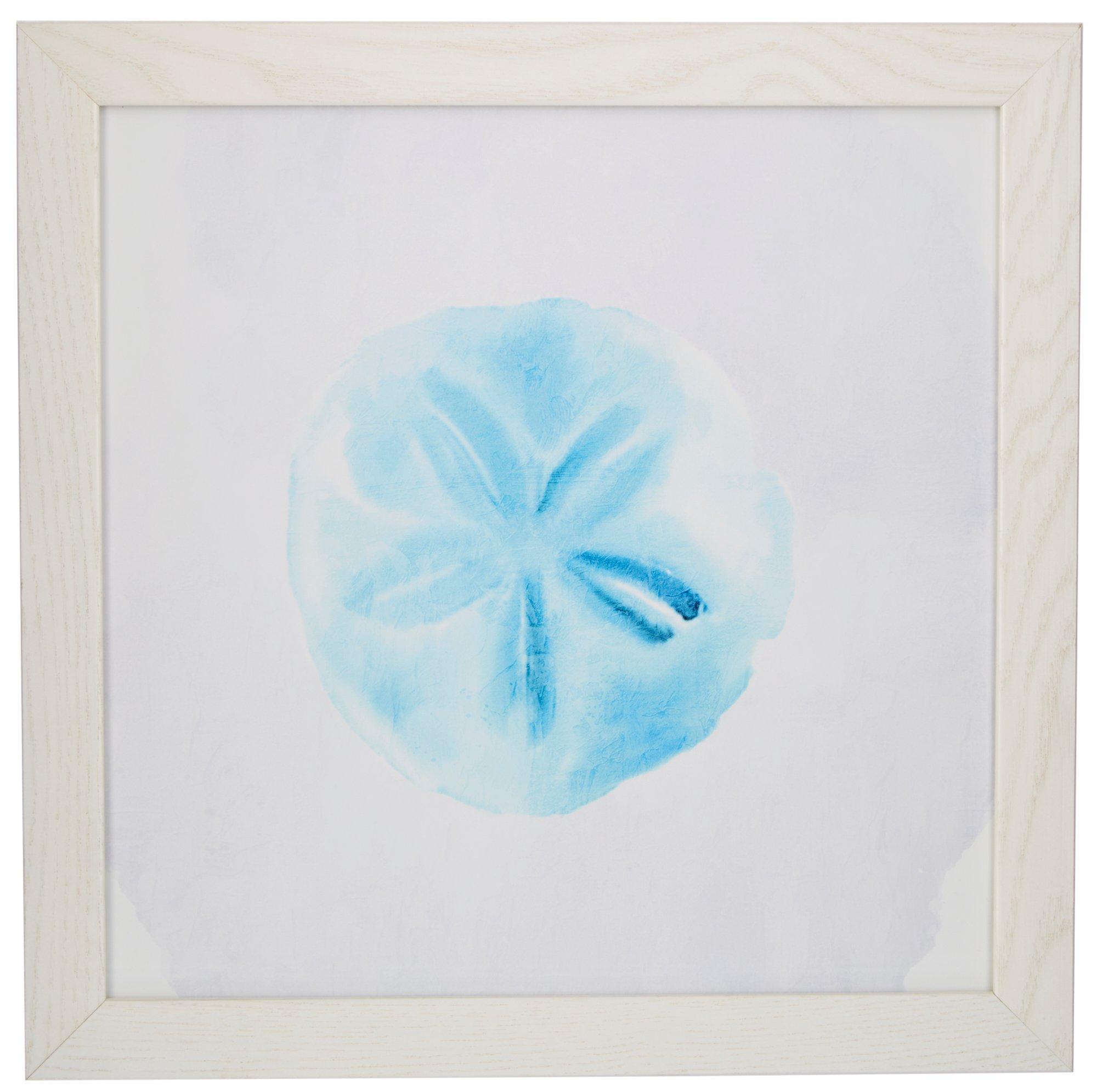 TIMELESS FRAMES 12x12 Sand Dollar Wall Art