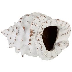 Home Essentials Conch Shell Distressed Wash Tabletop Decor
