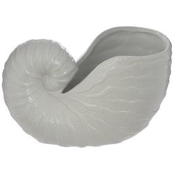 10 in Nautilus Shell Home Accent