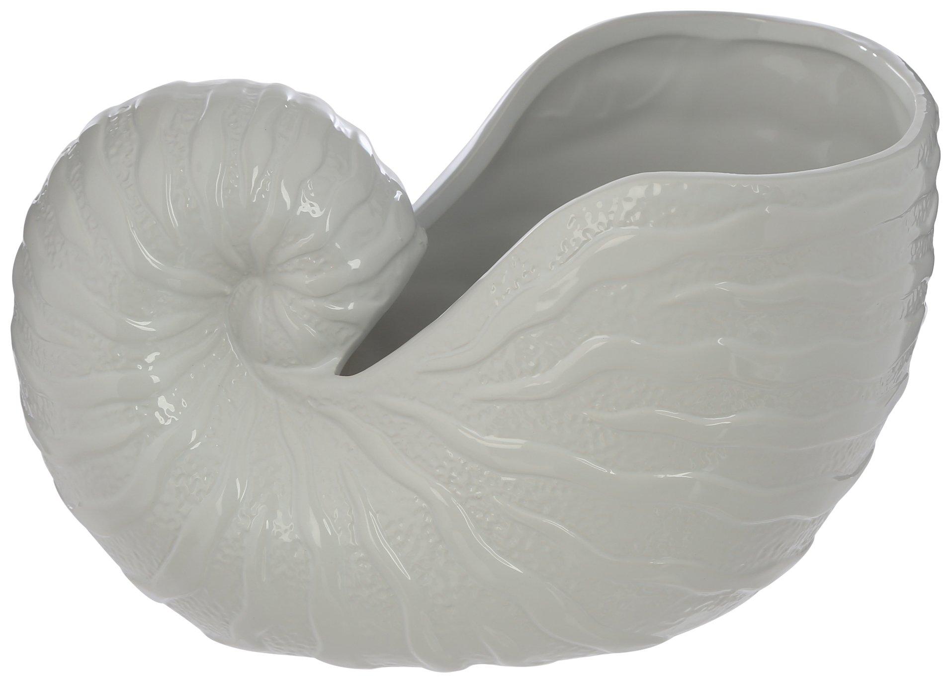 10 in Nautilus Shell Home Accent