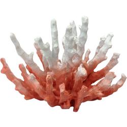 7 in. Two Toned Coral Décor