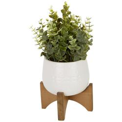 5in. Eucalyptus Potted Plant Decor