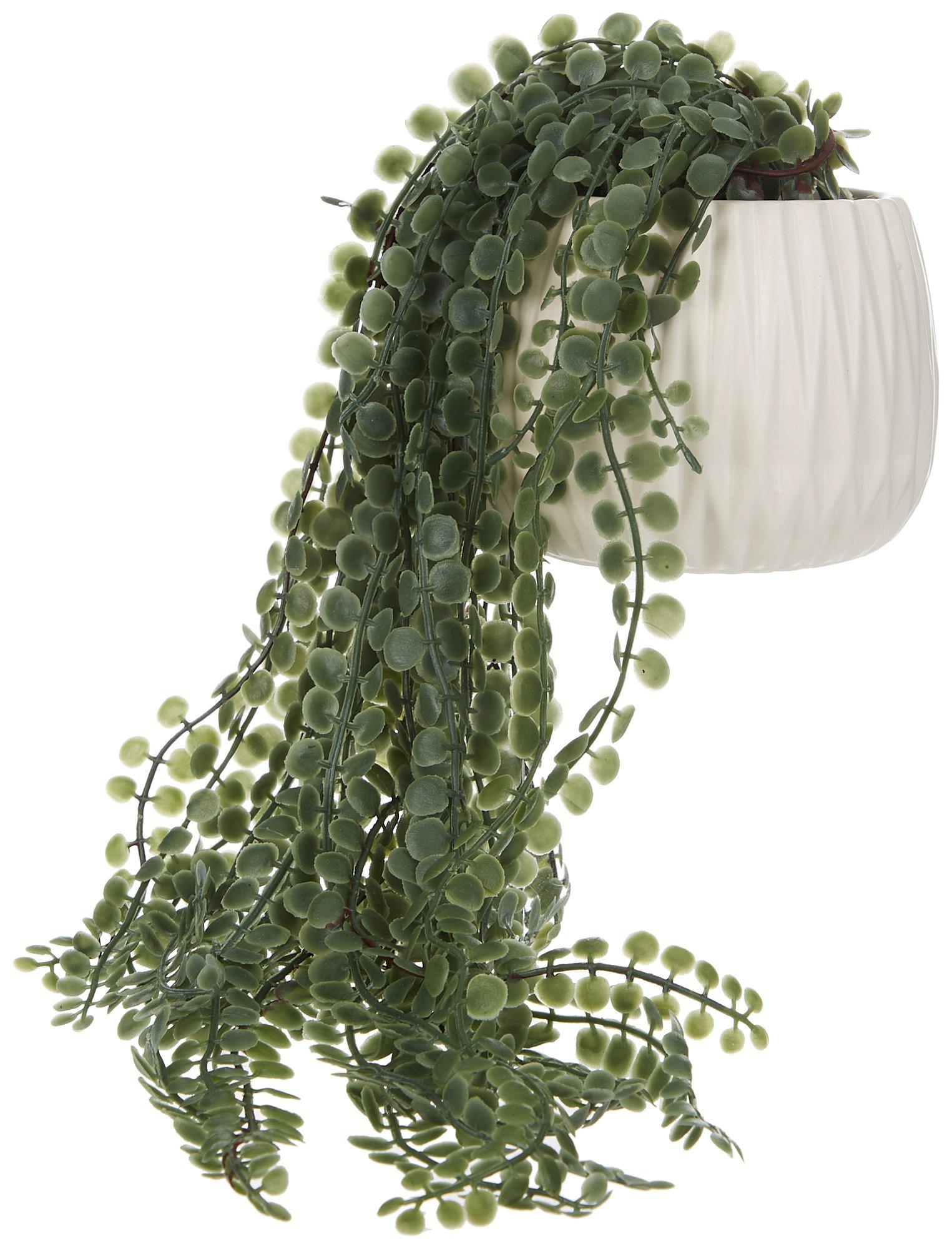 17in Trailing Pearls Potted Plant Decor
