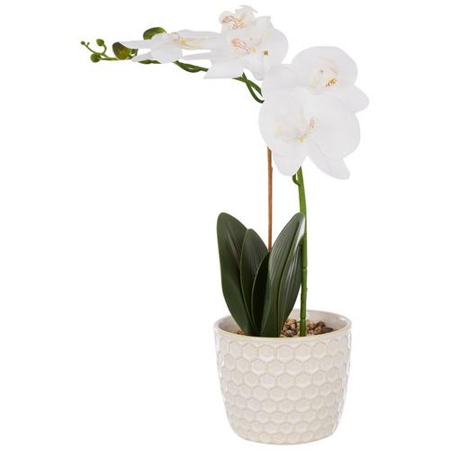 Flora Bunda 17in Orchid Potted Plant Decor