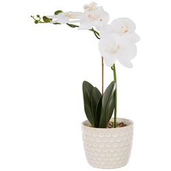 17in Orchid Potted Plant Decor