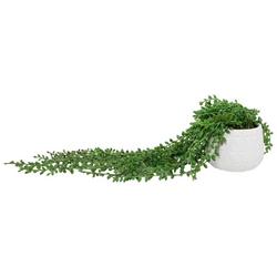 18in Trailing Pearls Potted Plant Decor