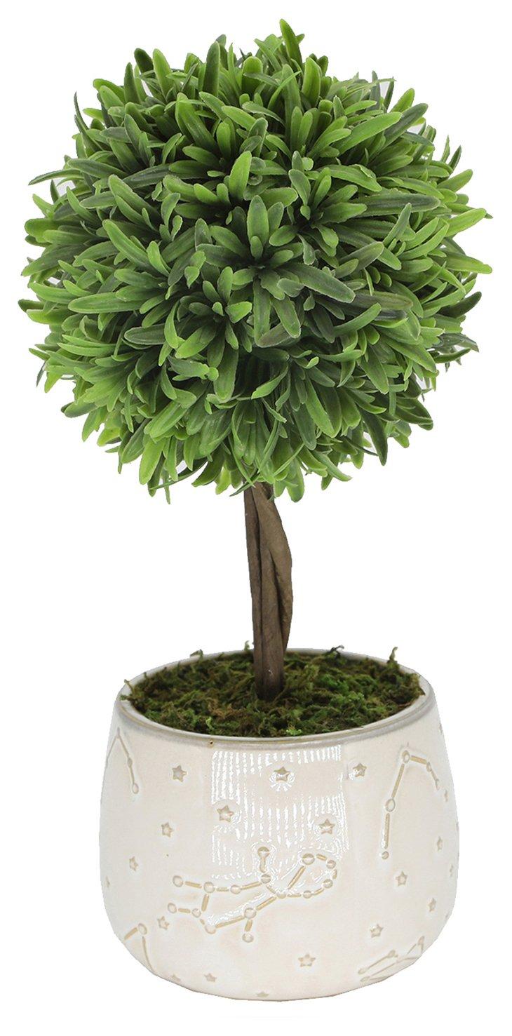 10in Boxwood Tree Decor