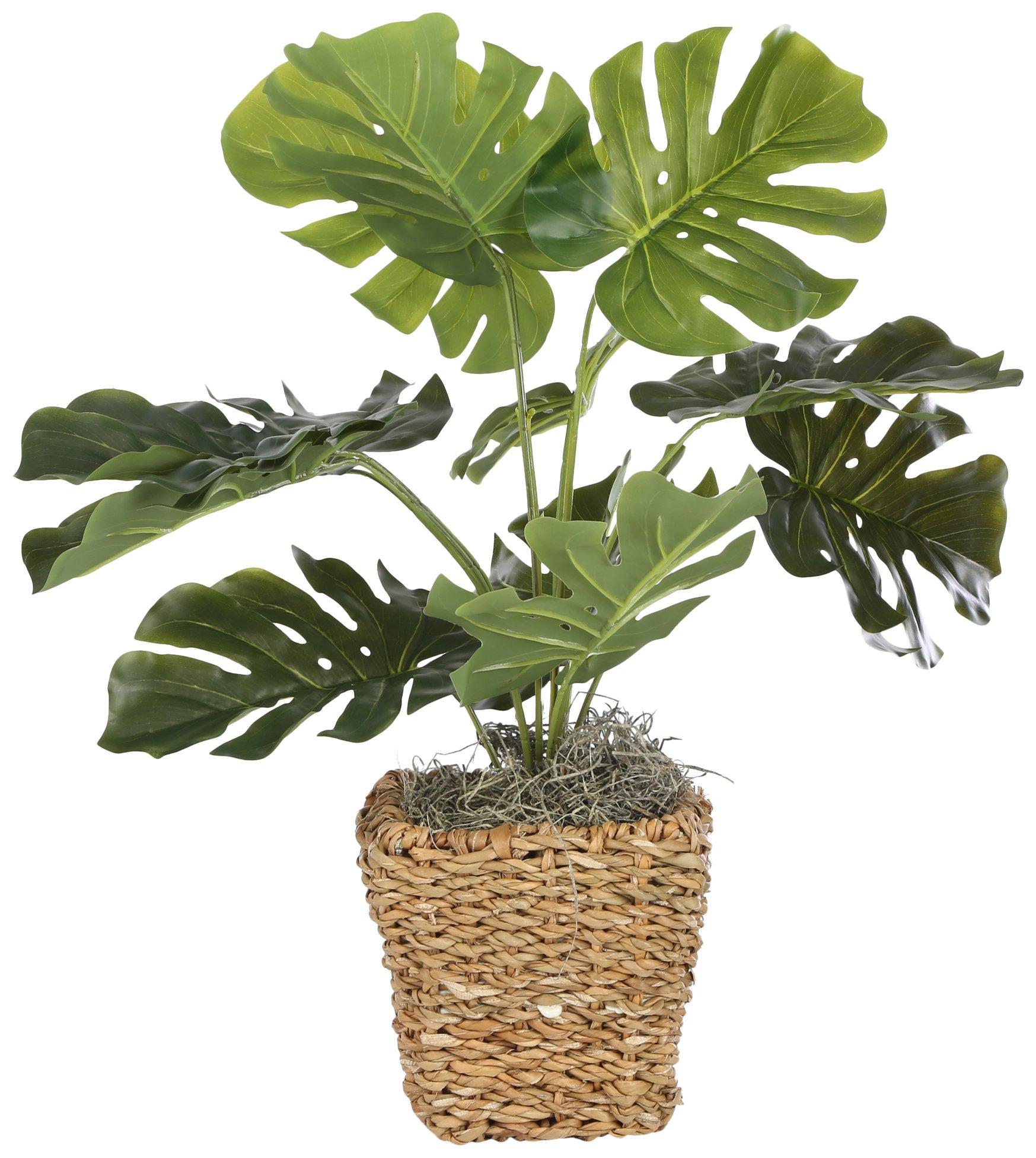 INC 24 in. Faux Monstera Plant